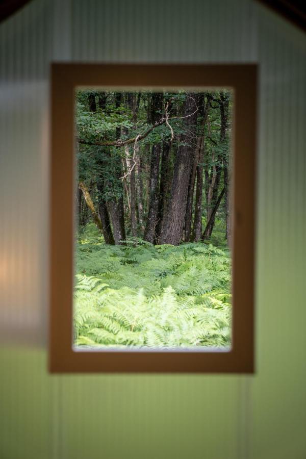 Camping Bois De St Hilaire Chalandray Exterior foto