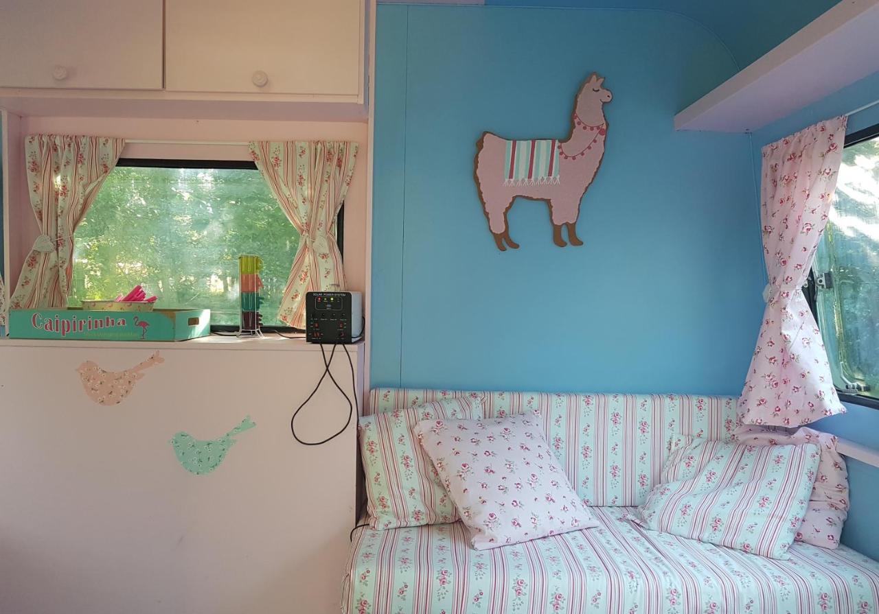 Camping Bois De St Hilaire Chalandray Exterior foto